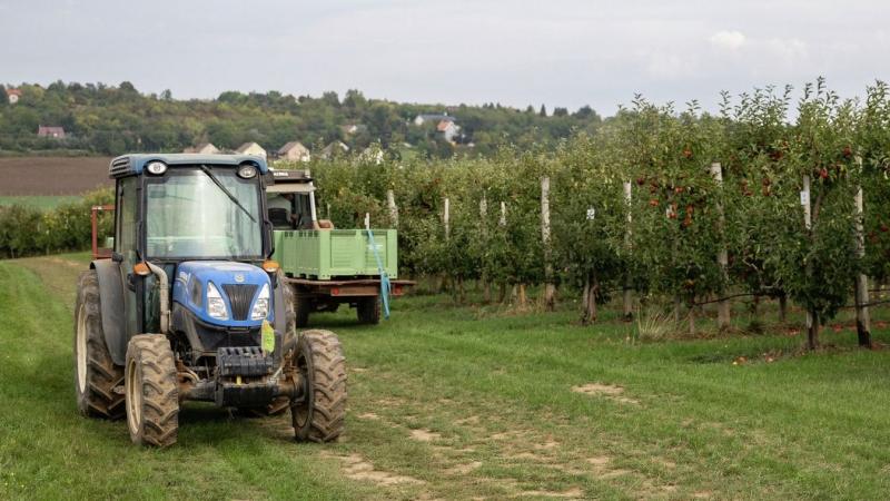 Idén nem lesz szüret a hajdú-bihari kertészetekben, és ennek oka téged is érzékenyen érinthet! A helyzet sajnos komoly kihívások elé állítja a helyi gazdákat, és a következmények mindenki számára érezhetőek lesznek.