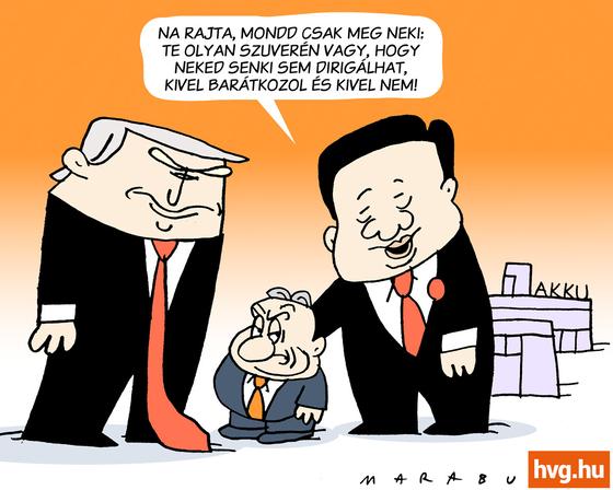 Marabu Féknyúz: Te valóban egyedülálló és független személyiség vagy!
