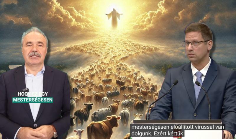 A Facebookon terjedő összeesküvés-elméletek és miniszteri zűrzavarok közepette végre sikerült legyőzni az 50 év után újra felbukkanó RSZKF-járványt.