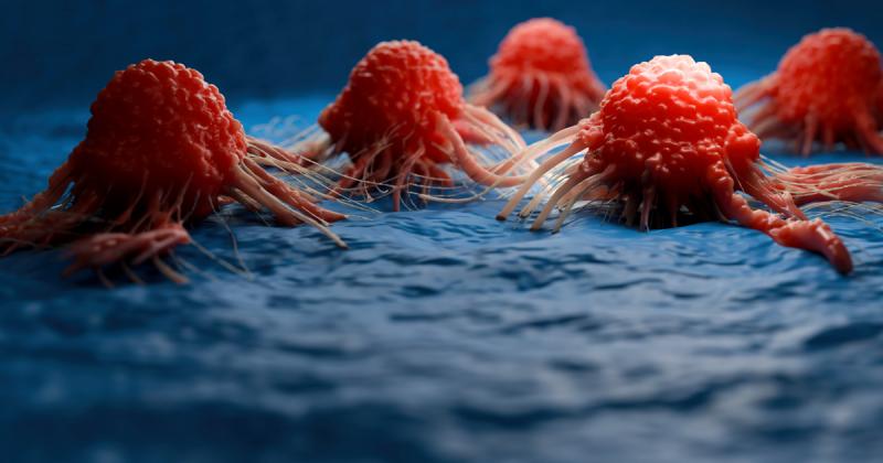 Ha a családban magas a rák kockázata, érdemes odafigyelni néhány fontos lépésre, amelyek segíthetnek csökkenteni a rizikót. Először is, az egészséges életmód alapvető: figyeljünk a kiegyensúlyozott táplálkozásra, amely gazdag zöldségekben, gyümölcsökben é